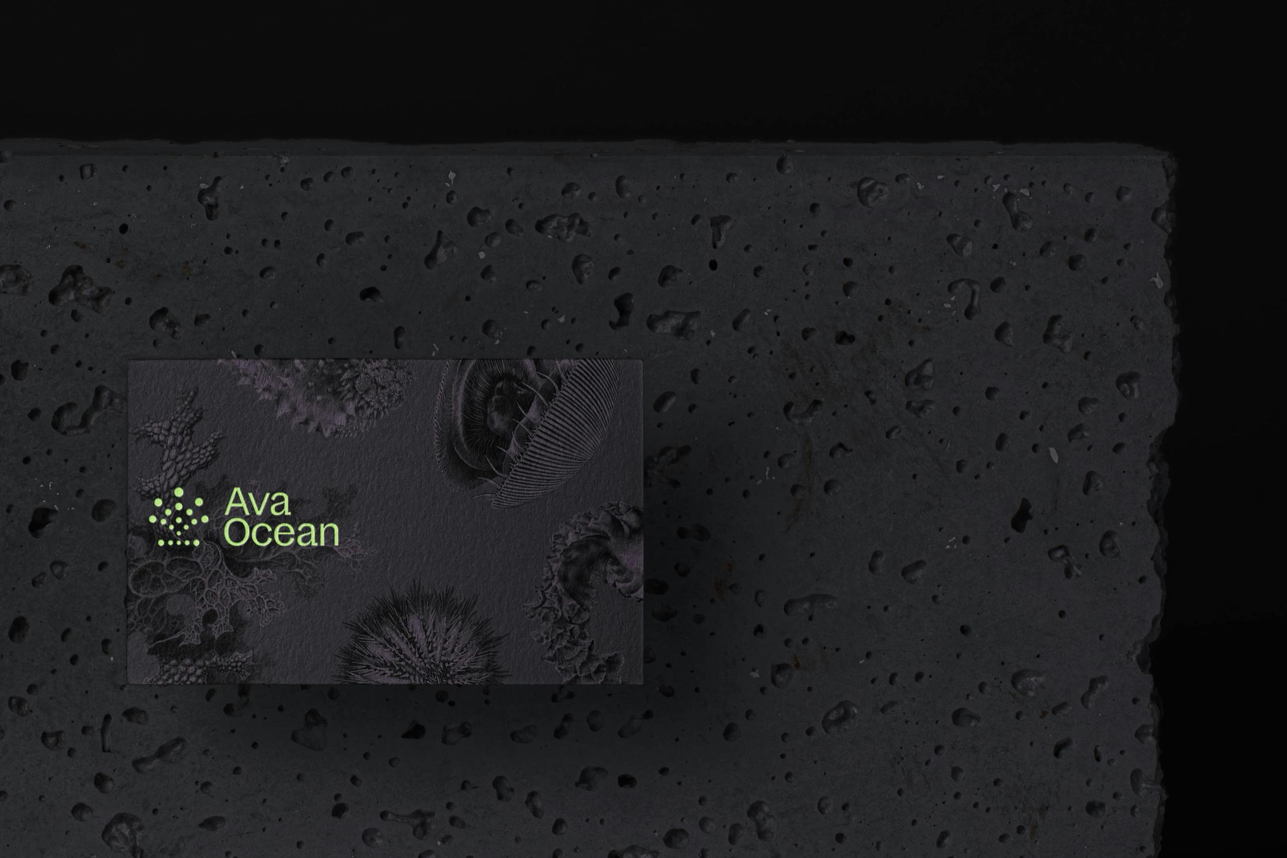 Ava Ocean business card