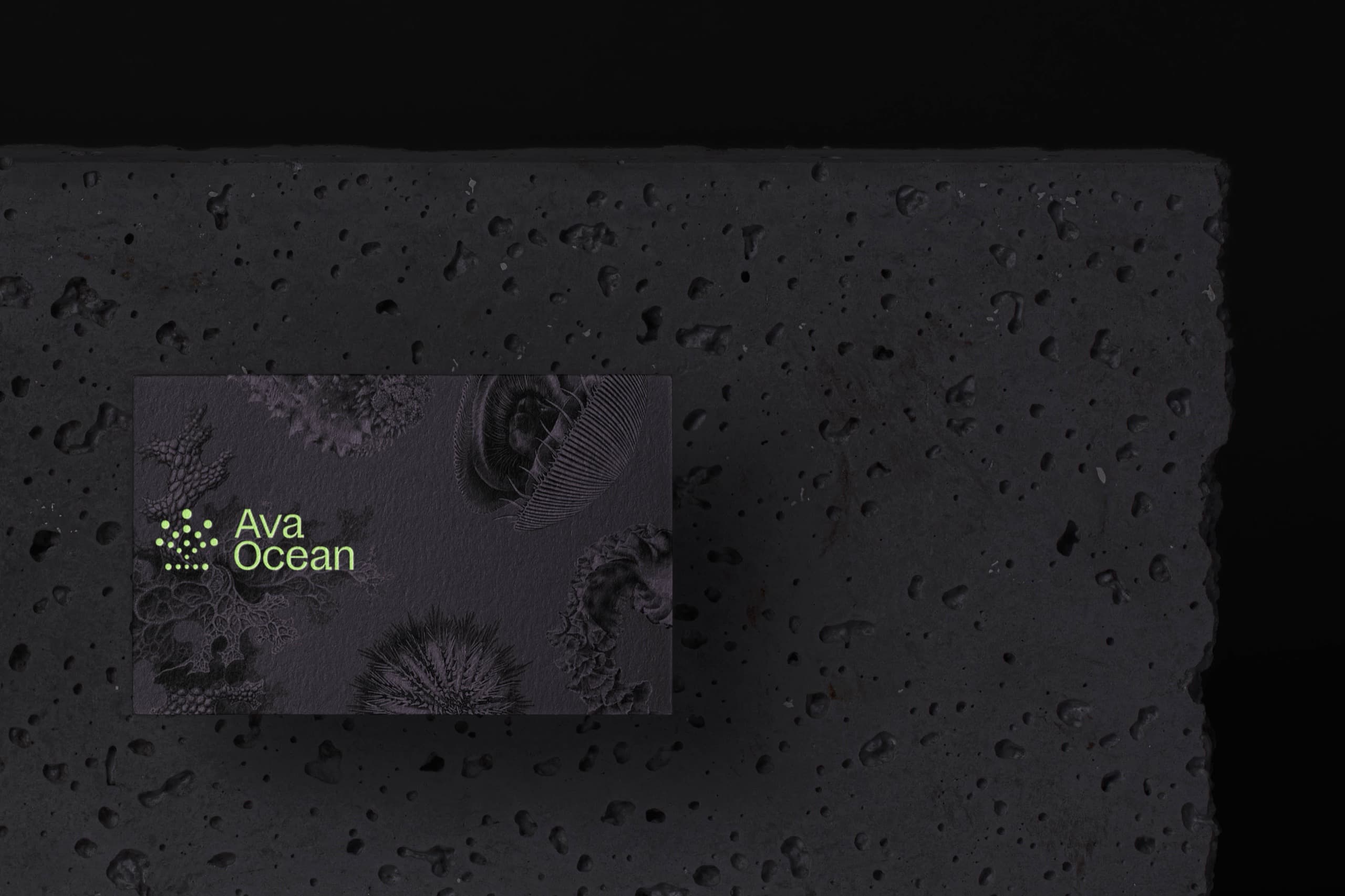 Ava Ocean business card