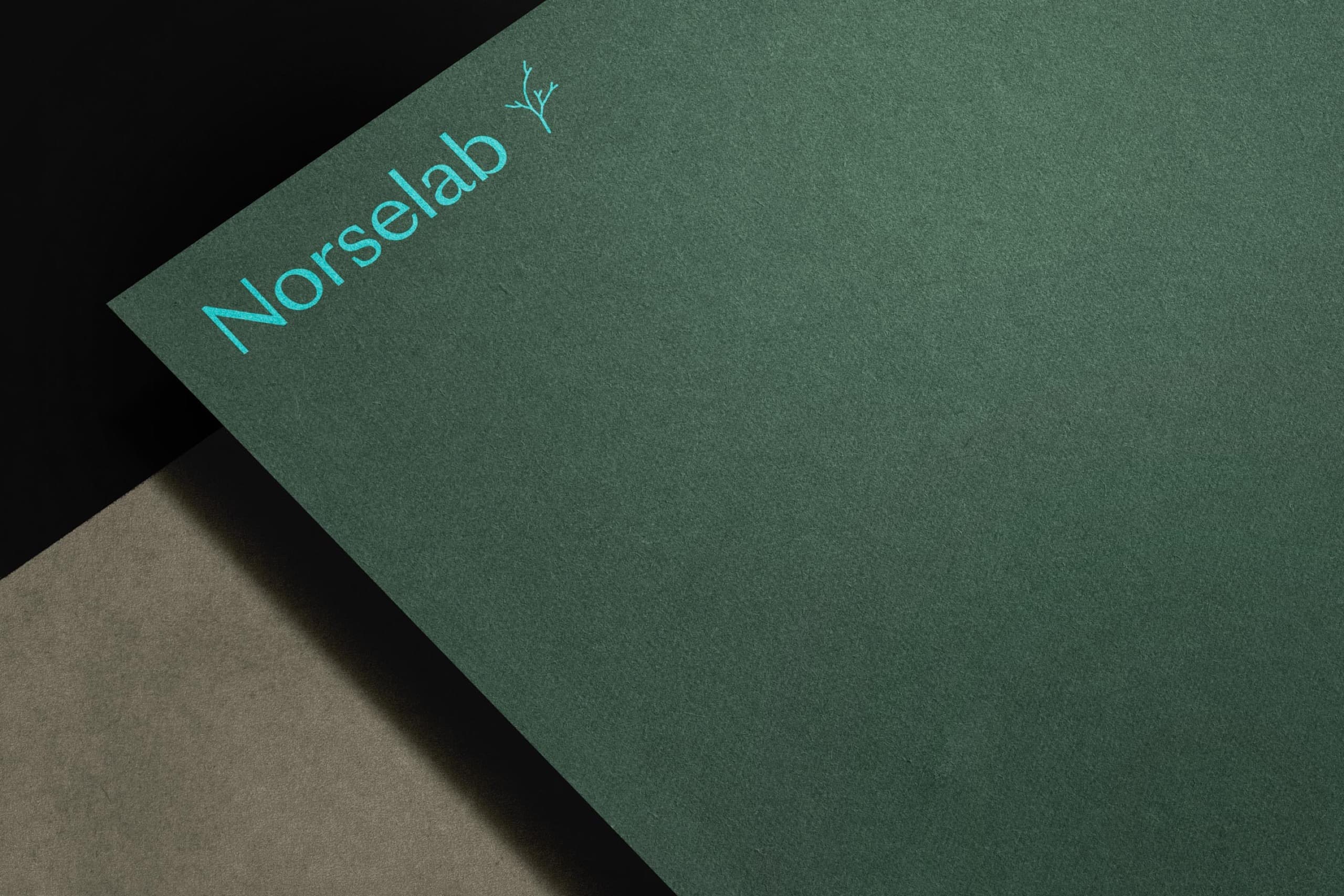 Norselab logo on a brochure